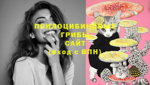 MESCALINE Арсеньев