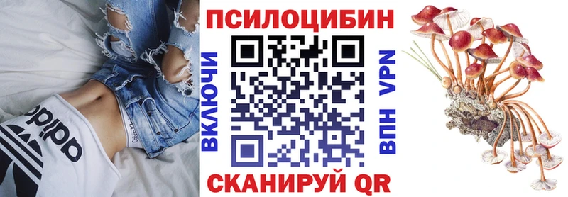Псилоцибиновые грибы мухоморы  Купить закладки  Зерноград 